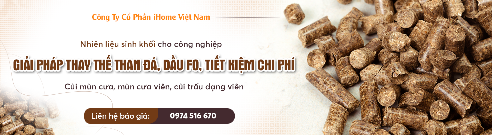 NHIÊN LIỆU SINH KHỐI